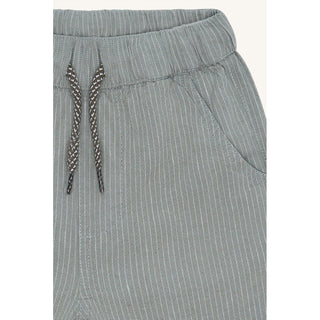Shorts Hans Iceberg Grün gestreift von Hust & Claire