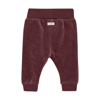 Velour Hose Violett von Fixoni