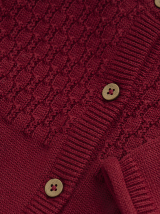 Strickjacke Syrah Rot von Fixoni